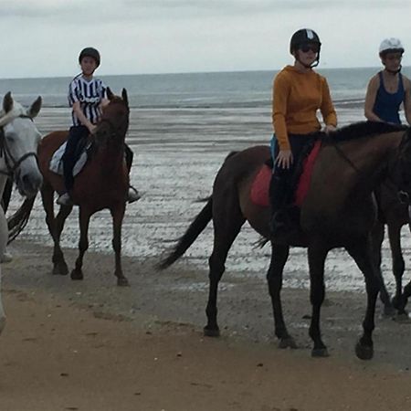 Decouverte D'Un Haras Proche Du Mont St Michel Hambye Exteriér fotografie