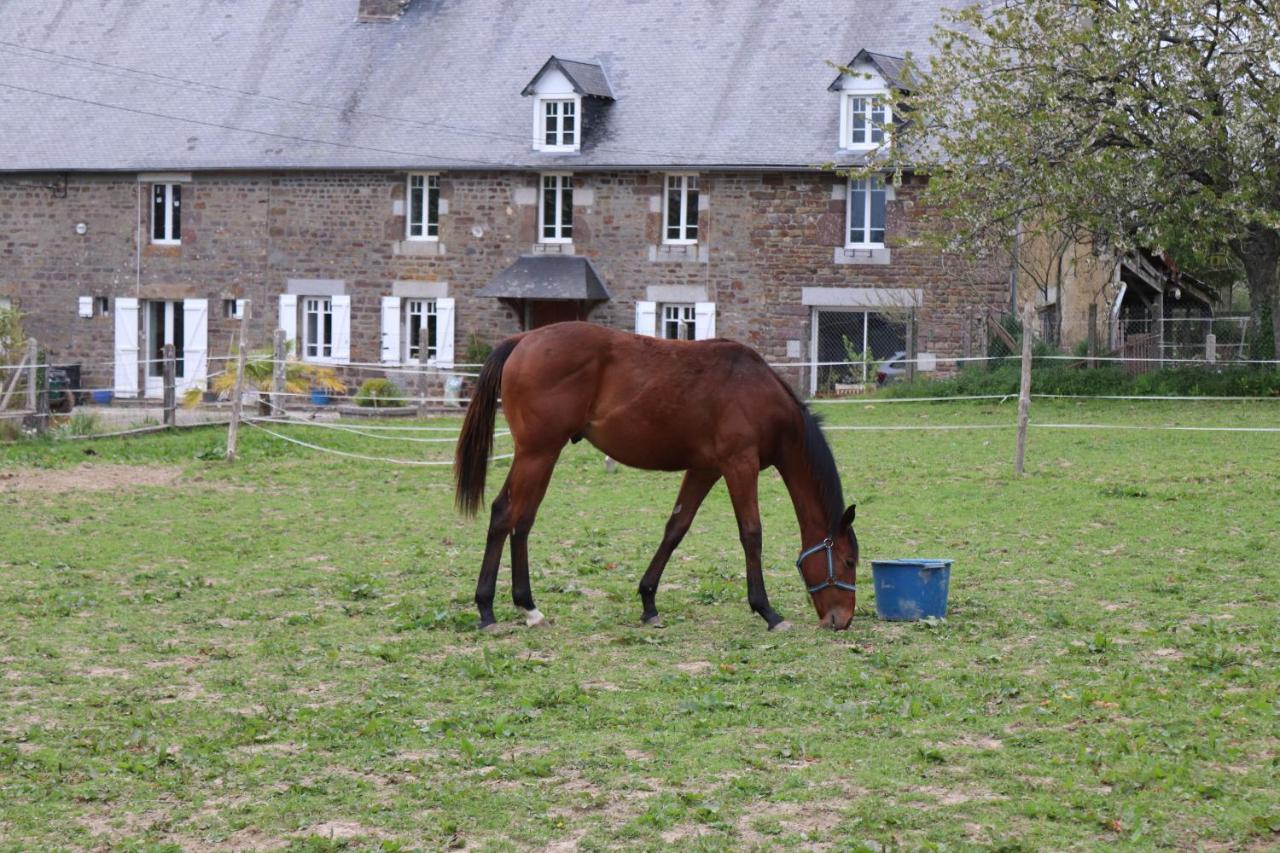 Decouverte D'Un Haras Proche Du Mont St Michel Hambye Exteriér fotografie