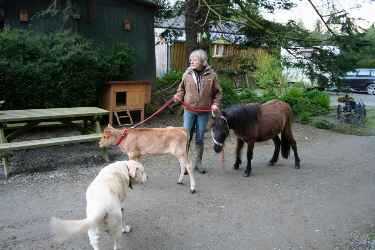 Decouverte D'Un Haras Proche Du Mont St Michel Hambye Exteriér fotografie