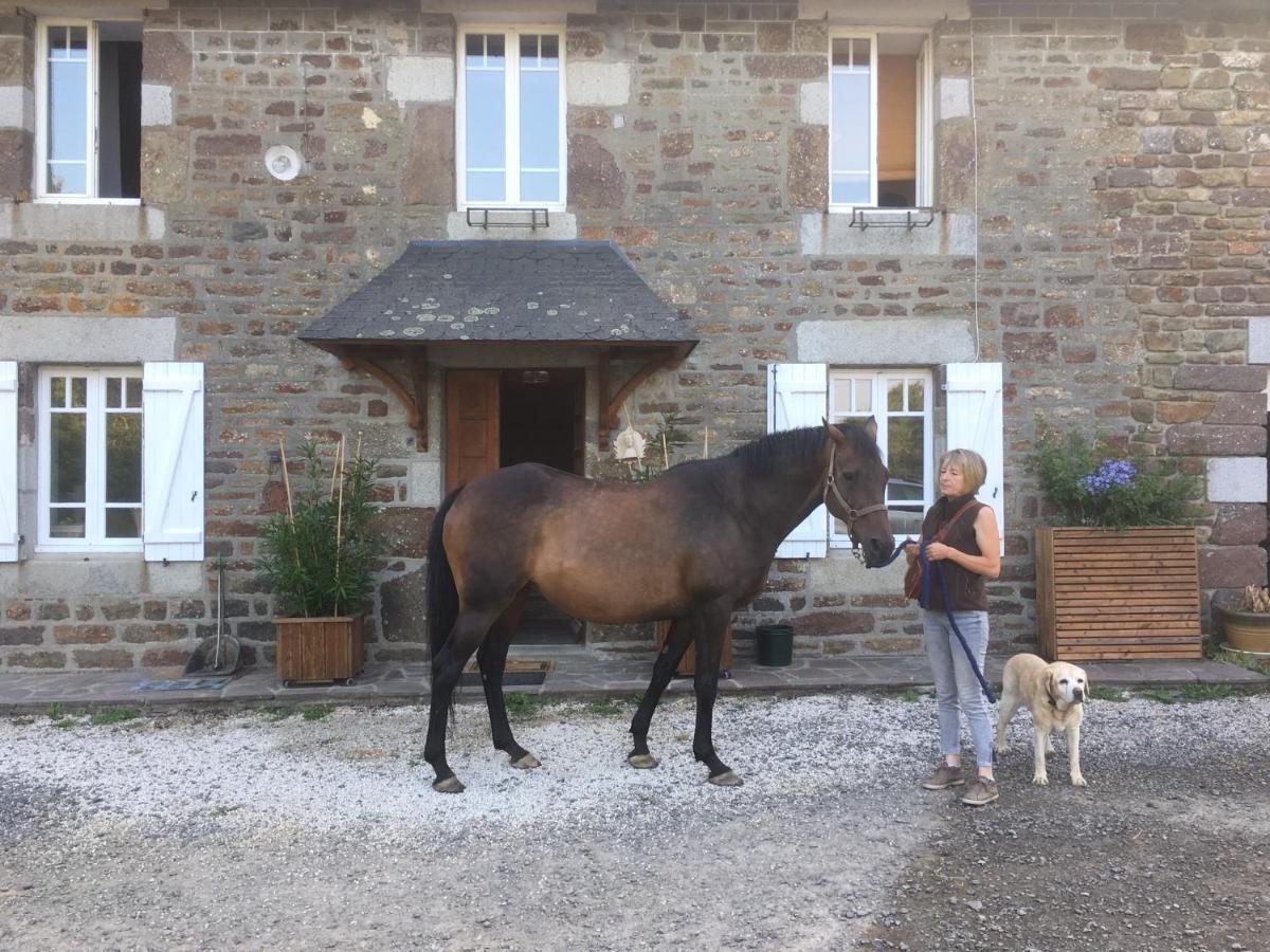 Decouverte D'Un Haras Proche Du Mont St Michel Hambye Exteriér fotografie