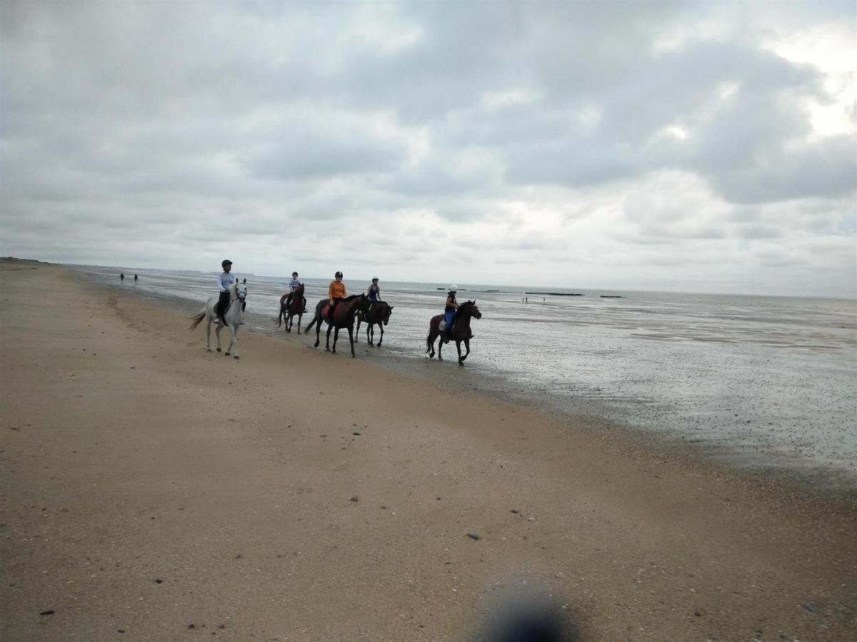 Decouverte D'Un Haras Proche Du Mont St Michel Hambye Exteriér fotografie
