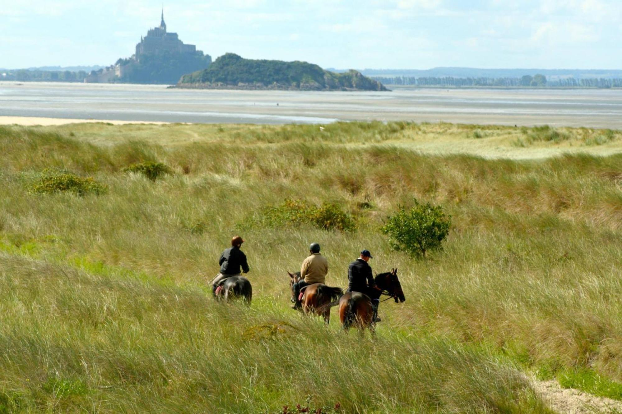 Decouverte D'Un Haras Proche Du Mont St Michel Hambye Exteriér fotografie