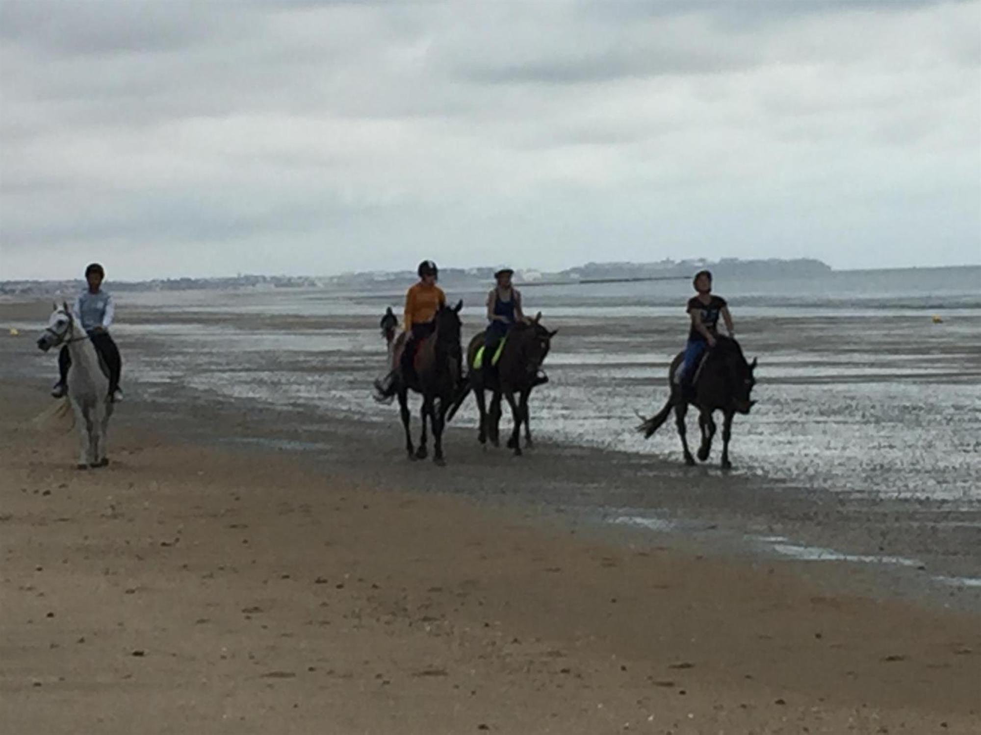 Decouverte D'Un Haras Proche Du Mont St Michel Hambye Exteriér fotografie