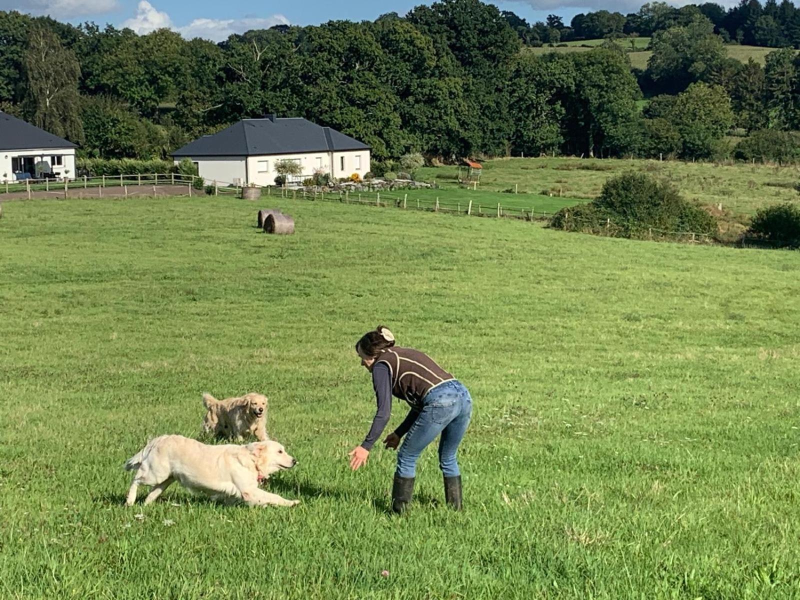 Decouverte D'Un Haras Proche Du Mont St Michel Hambye Exteriér fotografie