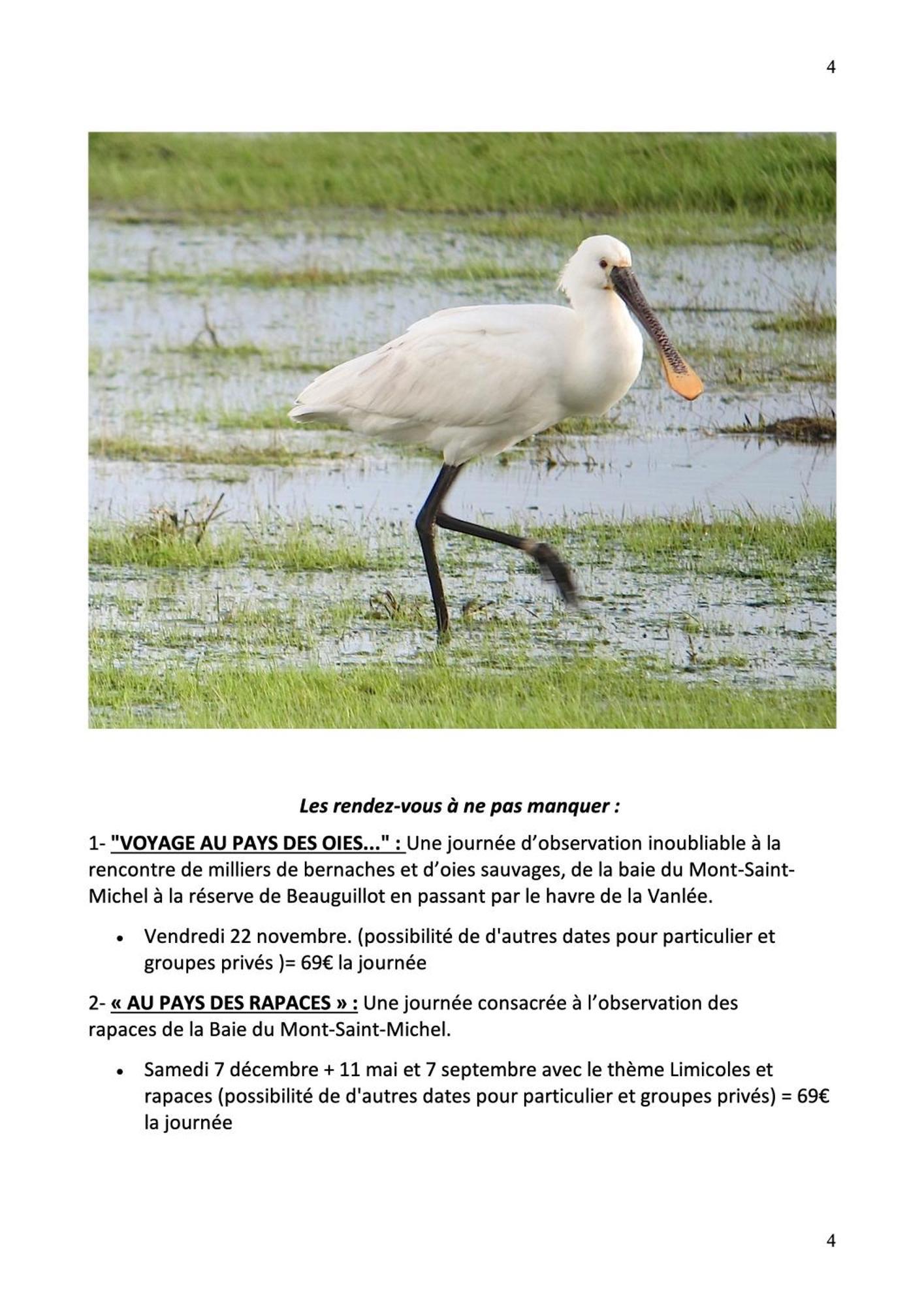Decouverte D'Un Haras Proche Du Mont St Michel Hambye Exteriér fotografie